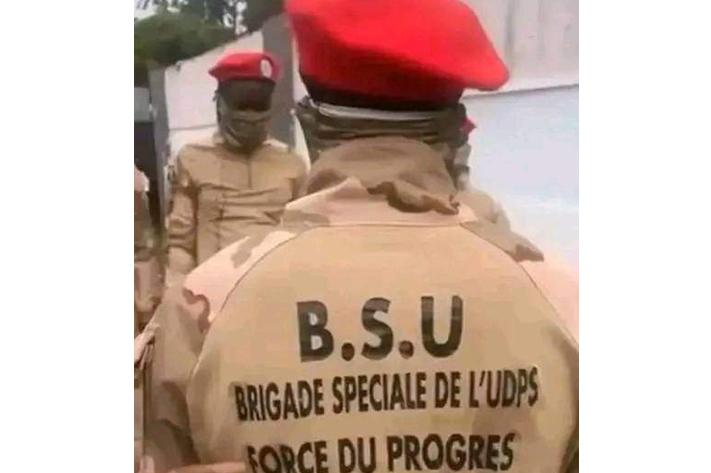Force du Progrès : quand le militantisme politique devient une menace pour l’État de droit